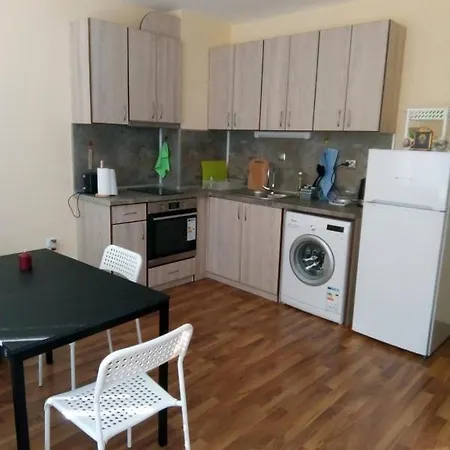 Cozy Apartament Naydenov דירה